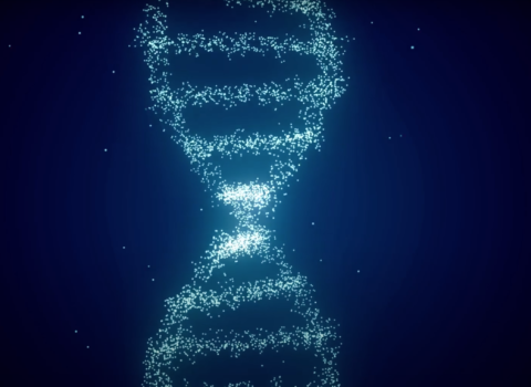 Animation of DNA helix