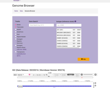 Before: Genome Browser tool